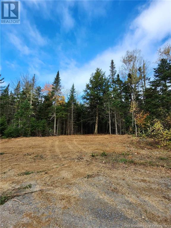Lot Glencoe Road, Nashwaak Bridge, New Brunswick  E6C 1T5 - Photo 13 - NB121743