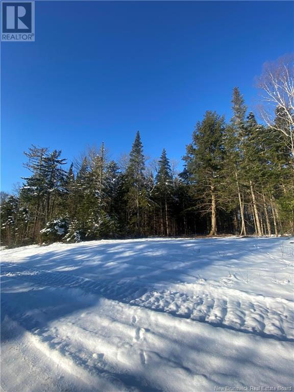 Lot Glencoe Road, Nashwaak Bridge, New Brunswick  E6C 1T5 - Photo 14 - NB121743