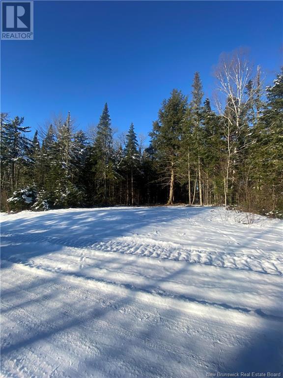Lot Glencoe Road, Nashwaak Bridge, New Brunswick  E6C 1T5 - Photo 16 - NB121743