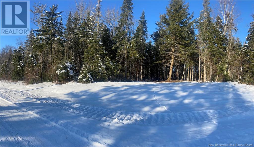 Lot Glencoe Road, Nashwaak Bridge, New Brunswick  E6C 1T5 - Photo 19 - NB121743