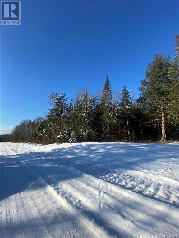 Lot Glencoe Road, Nashwaak Bridge, New Brunswick  E6C 1T5 - Photo 20 - NB121743