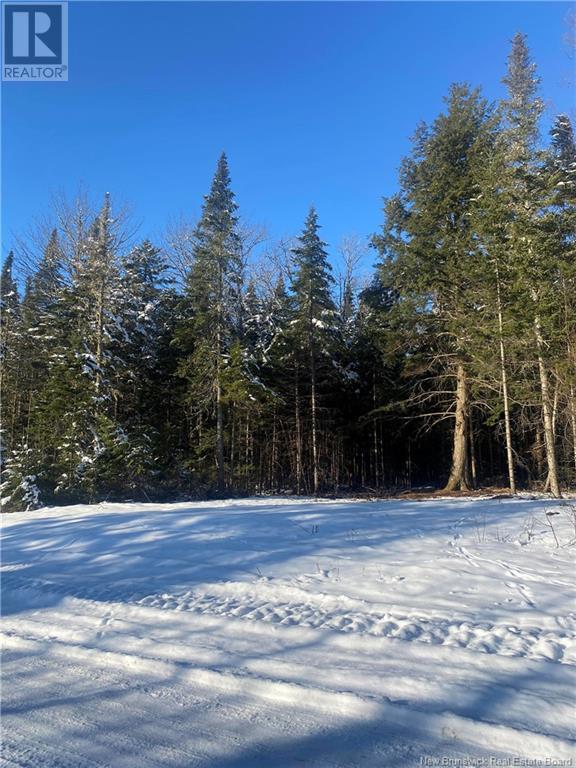 Lot Glencoe Road, Nashwaak Bridge, New Brunswick  E6C 1T5 - Photo 22 - NB121743