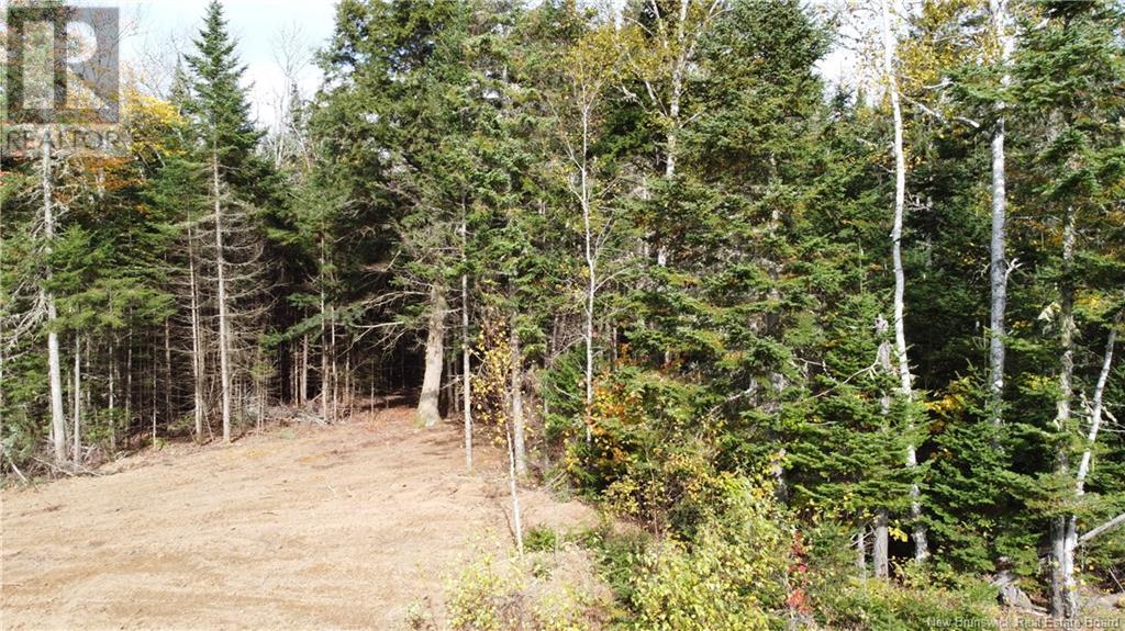 Lot Glencoe Road, Nashwaak Bridge, New Brunswick  E6C 1T5 - Photo 23 - NB121743