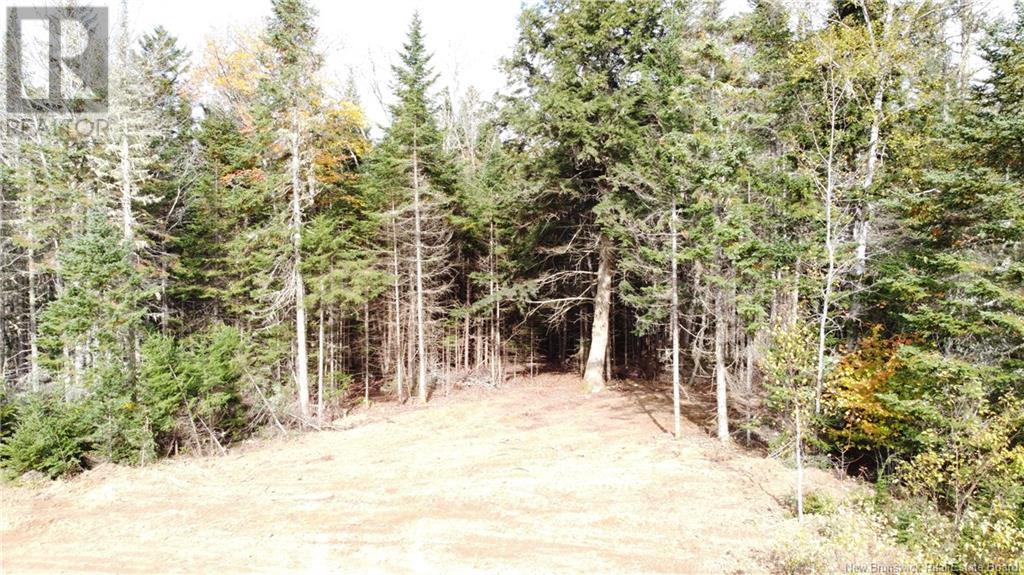 Lot Glencoe Road, Nashwaak Bridge, New Brunswick  E6C 1T5 - Photo 24 - NB121743