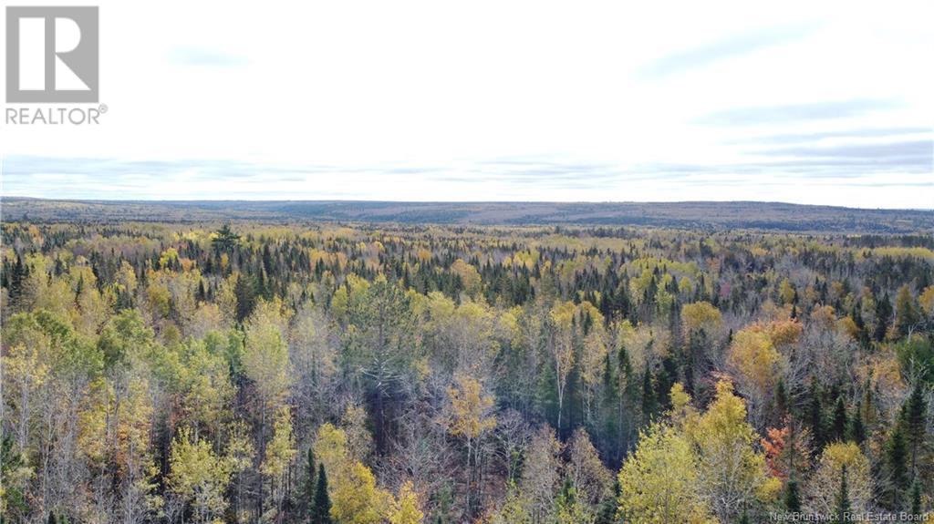 Lot Glencoe Road, Nashwaak Bridge, New Brunswick  E6C 1T5 - Photo 26 - NB121743