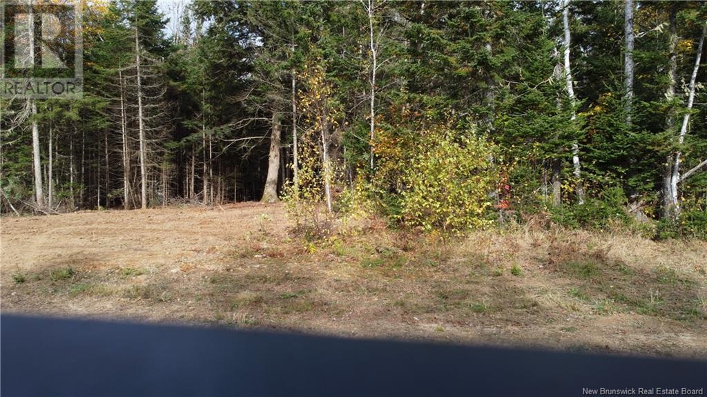 Lot Glencoe Road, Nashwaak Bridge, New Brunswick  E6C 1T5 - Photo 3 - NB121743