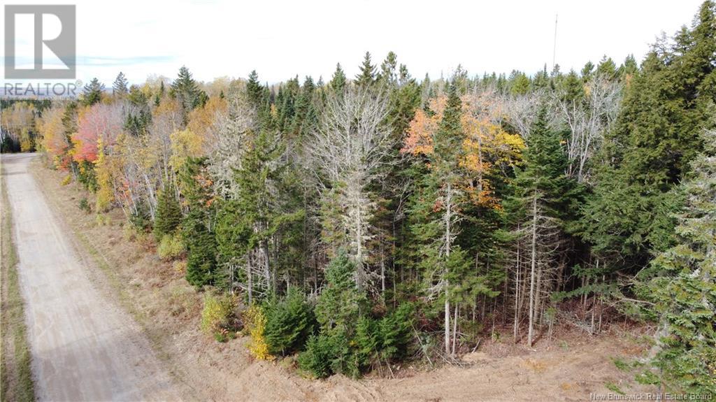 Lot Glencoe Road, Nashwaak Bridge, New Brunswick  E6C 1T5 - Photo 32 - NB121743