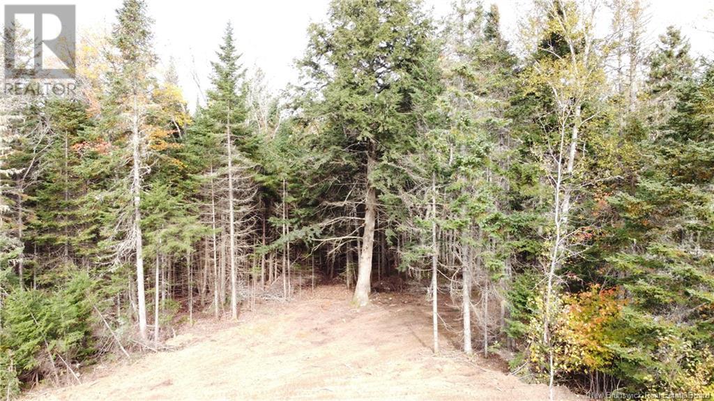Lot Glencoe Road, Nashwaak Bridge, New Brunswick  E6C 1T5 - Photo 33 - NB121743