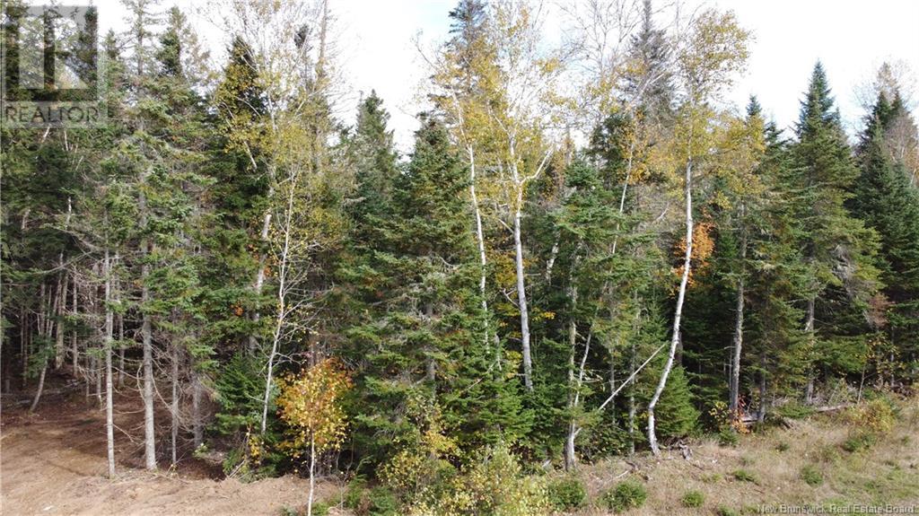 Lot Glencoe Road, Nashwaak Bridge, New Brunswick  E6C 1T5 - Photo 34 - NB121743