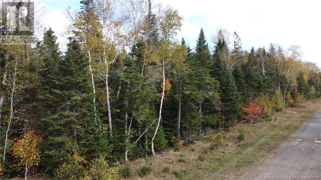 Lot Glencoe Road, Nashwaak Bridge, New Brunswick  E6C 1T5 - Photo 35 - NB121743