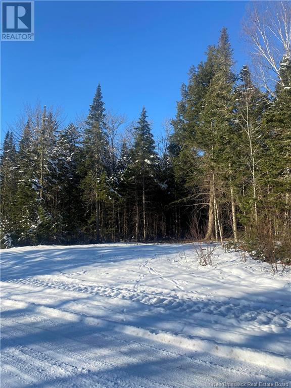Lot Glencoe Road, Nashwaak Bridge, New Brunswick  E6C 1T5 - Photo 5 - NB121743