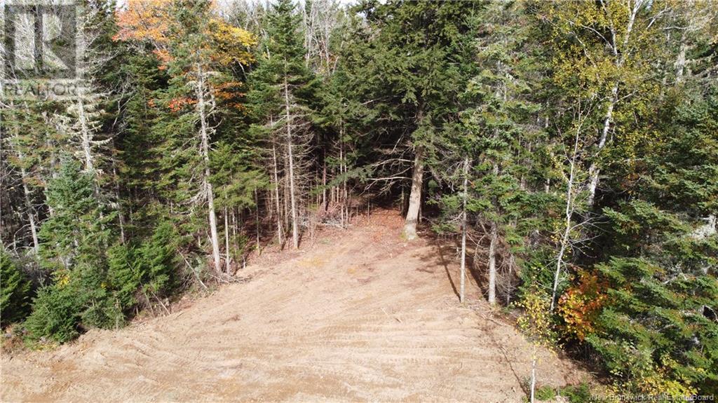 Lot Glencoe Road, Nashwaak Bridge, New Brunswick  E6C 1T5 - Photo 6 - NB121743
