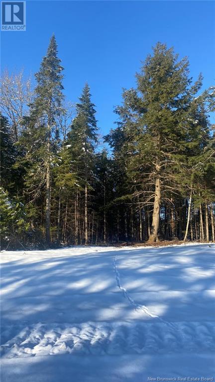 Lot Glencoe Road, Nashwaak Bridge, New Brunswick  E6C 1T5 - Photo 7 - NB121743