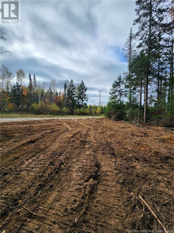 Lot Glencoe Road, Nashwaak Bridge, New Brunswick  E6C 1T5 - Photo 10 - NB121740