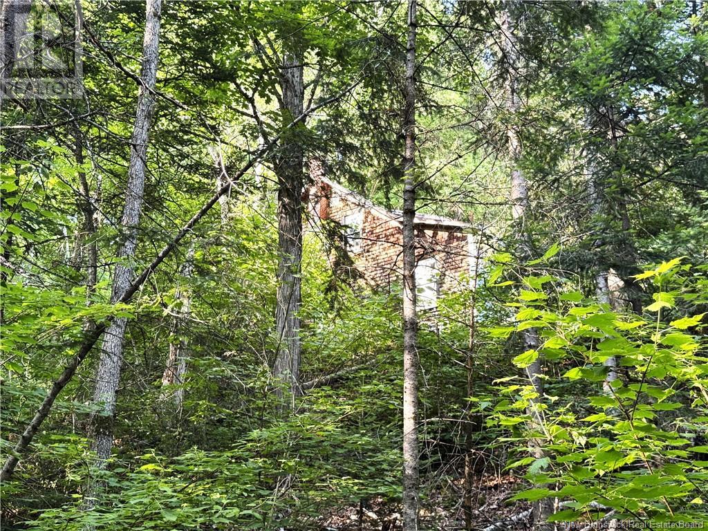 Lot & Cottage Route 105, Lower Brighton, New Brunswick  E7N 1T9 - Photo 25 - NB121562