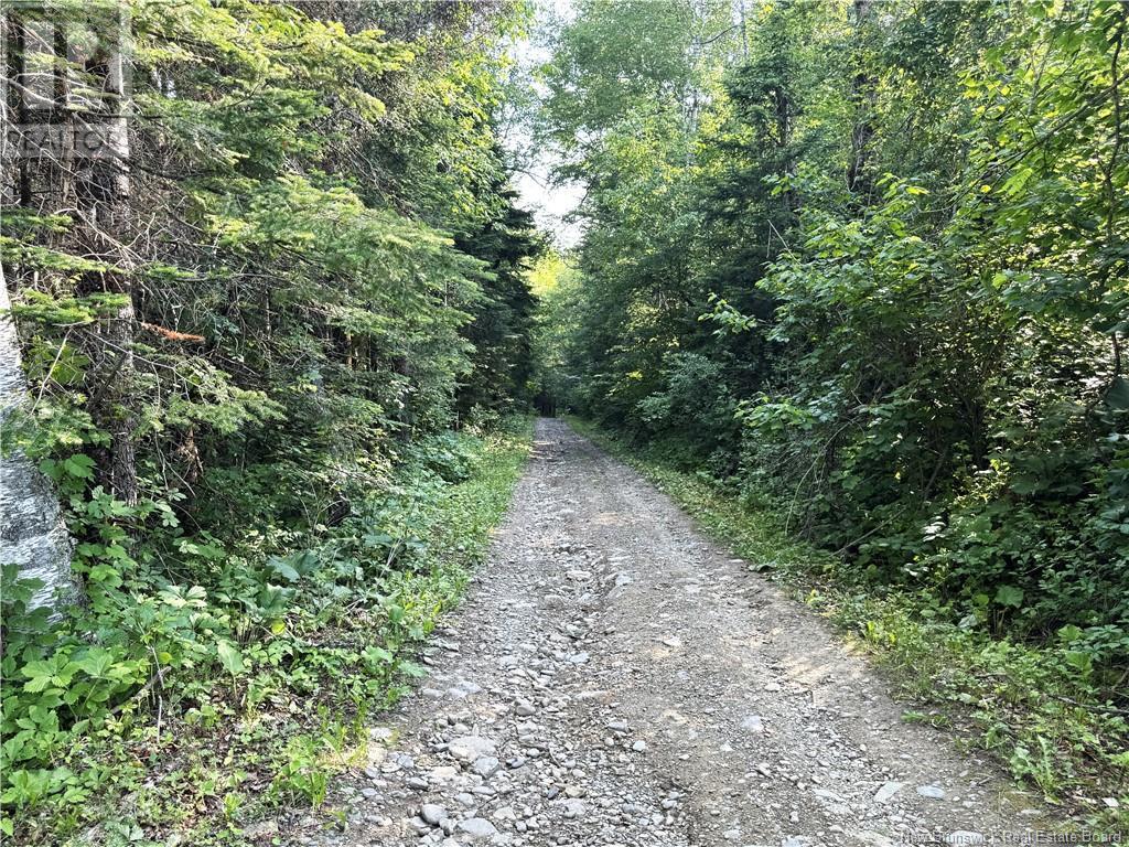 Lot & Cottage Route 105, Lower Brighton, New Brunswick  E7N 1T9 - Photo 26 - NB121562