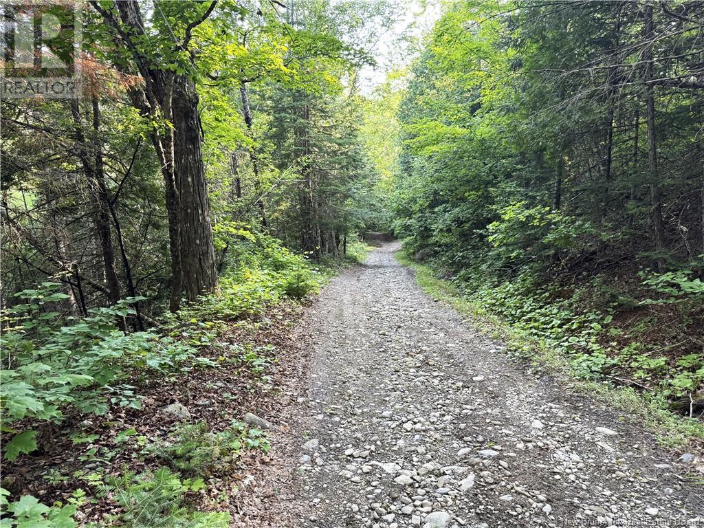 Lot & Cottage Route 105, Lower Brighton, New Brunswick  E7N 1T9 - Photo 27 - NB121562
