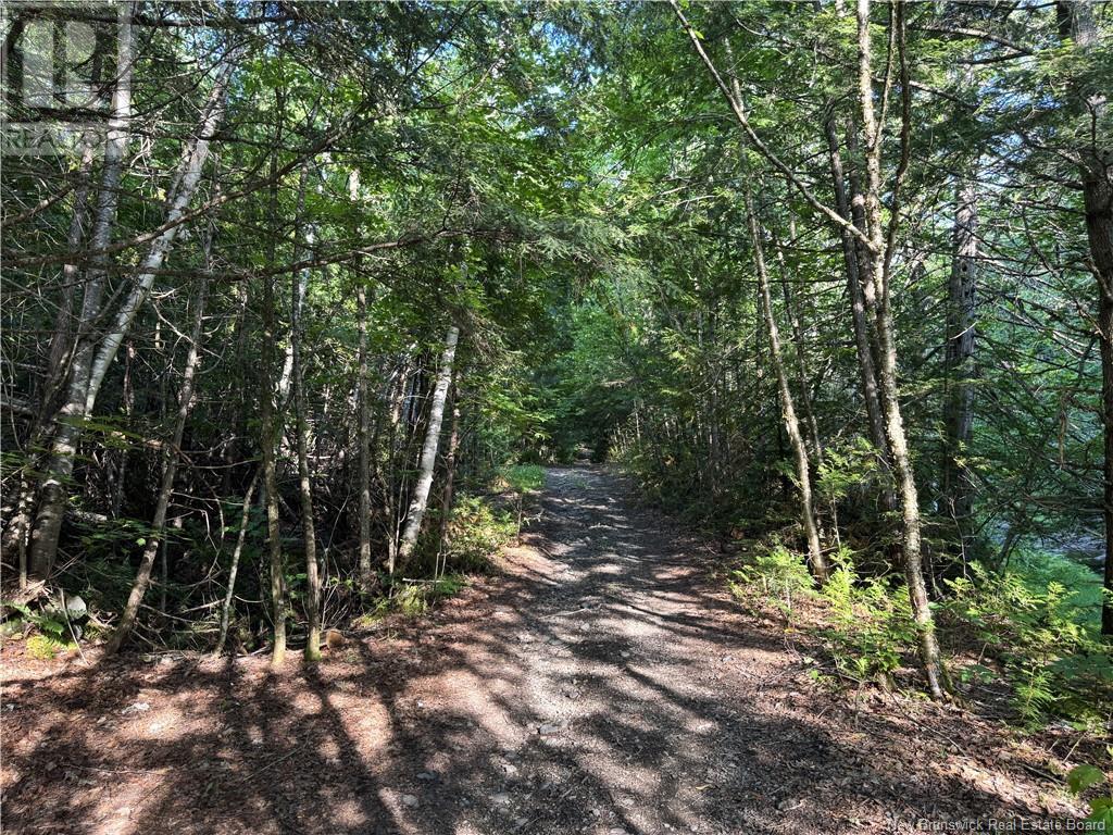 Lot & Cottage Route 105, Lower Brighton, New Brunswick  E7N 1T9 - Photo 28 - NB121562