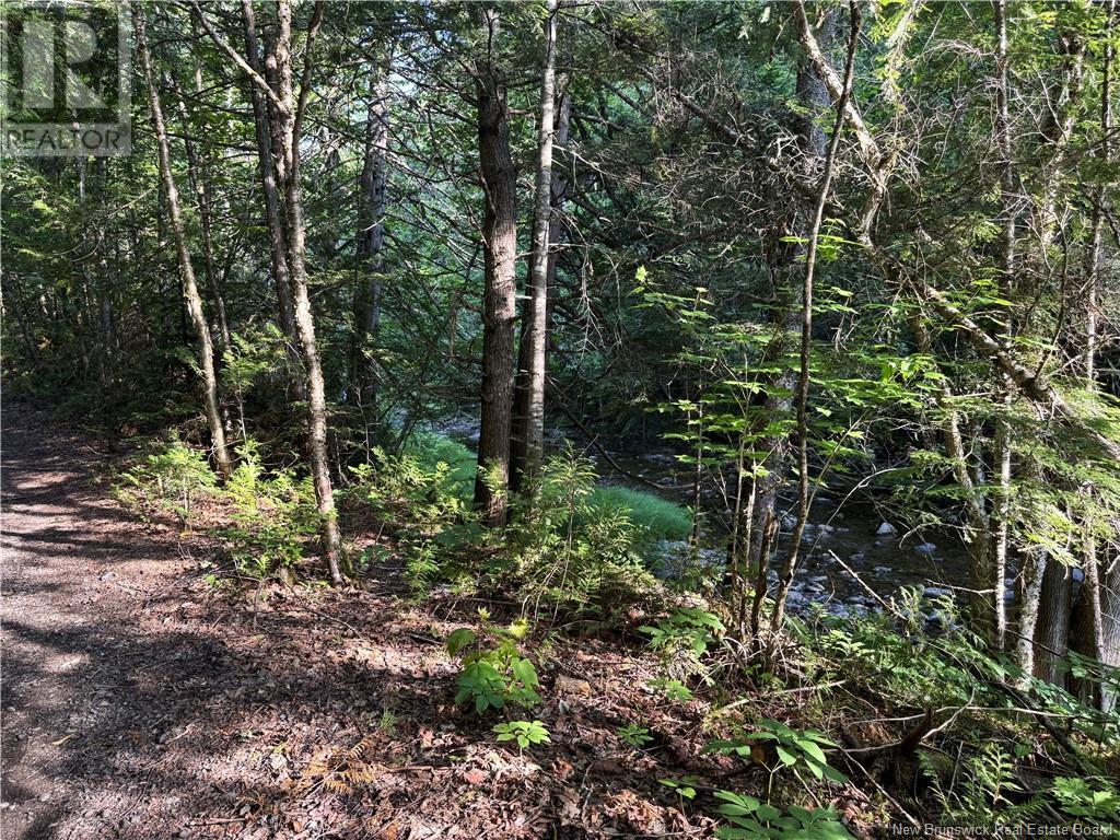 Lot & Cottage Route 105, Lower Brighton, New Brunswick  E7N 1T9 - Photo 29 - NB121562