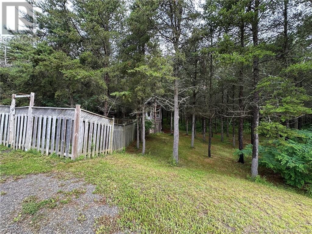 4901 Route 115, Mckees Mills, New Brunswick  E4V 2T3 - Photo 19 - NB121979