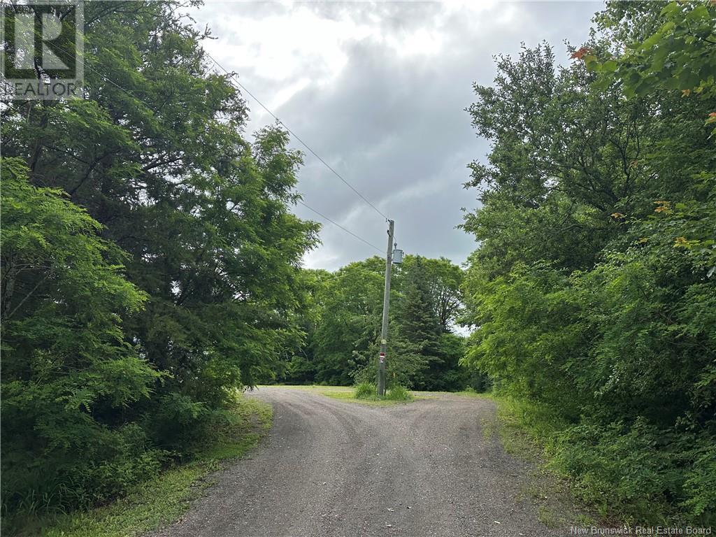 4901 Route 115, Mckees Mills, New Brunswick  E4V 2T3 - Photo 20 - NB121979