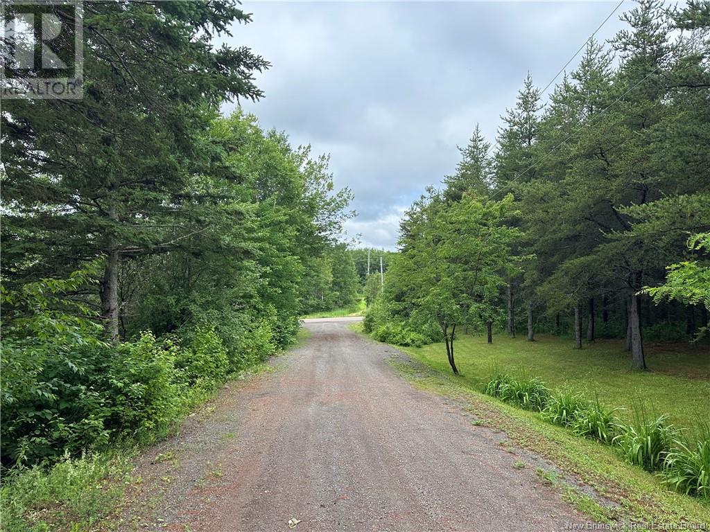 4901 Route 115, Mckees Mills, New Brunswick  E4V 2T3 - Photo 21 - NB121979
