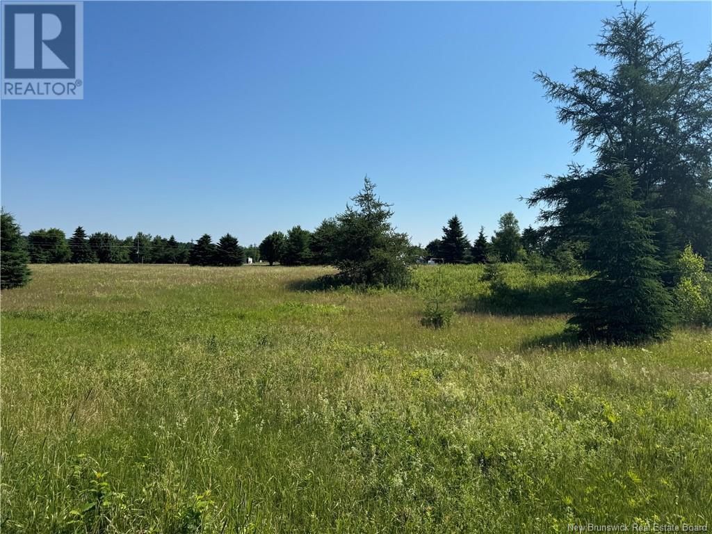 Vacant Lot Gray Road, Saint-Ignace, New Brunswick  E4X 2G1 - Photo 2 - NB121994