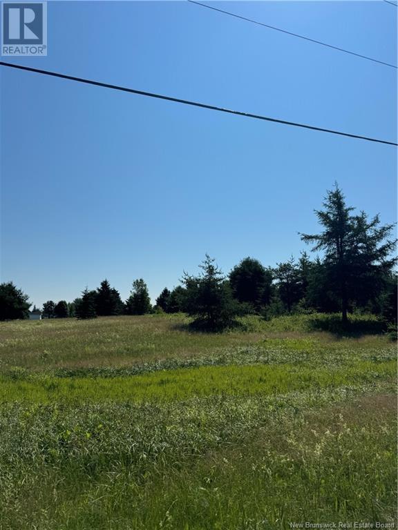 Vacant Lot Gray Road, Saint-Ignace, New Brunswick  E4X 2G1 - Photo 3 - NB121994