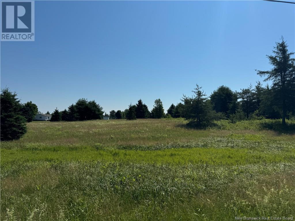Vacant Lot Gray Road, Saint-Ignace, New Brunswick  E4X 2G1 - Photo 4 - NB121994