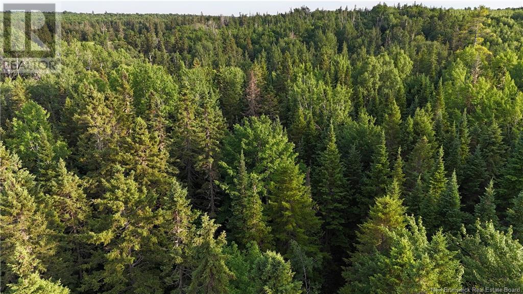 Lot 3 Murray Road, Smiths Corner, New Brunswick  E4T 1K8 - Photo 10 - NB121900
