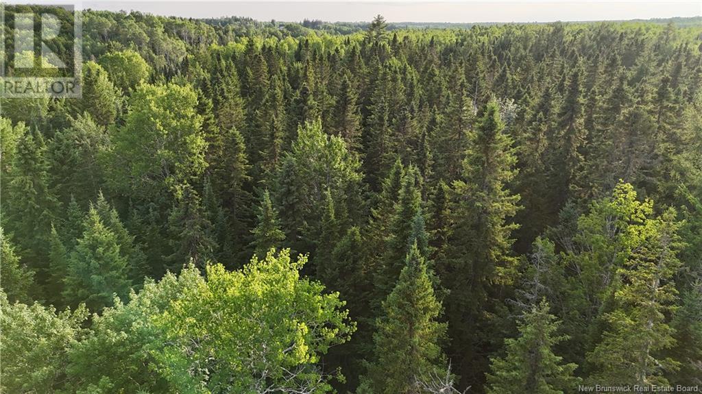 Lot 3 Murray Road, Smiths Corner, New Brunswick  E4T 1K8 - Photo 11 - NB121900