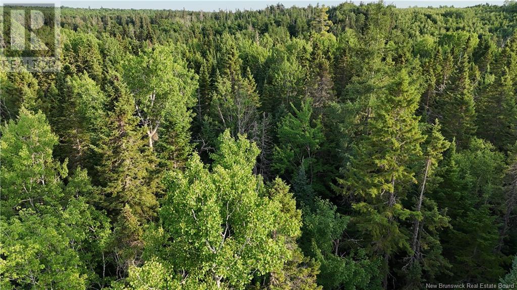 Lot 3 Murray Road, Smiths Corner, New Brunswick  E4T 1K8 - Photo 12 - NB121900
