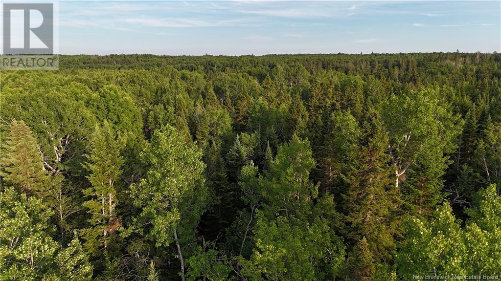 Lot 3 Murray Road, Smiths Corner, New Brunswick  E4T 1K8 - Photo 13 - NB121900
