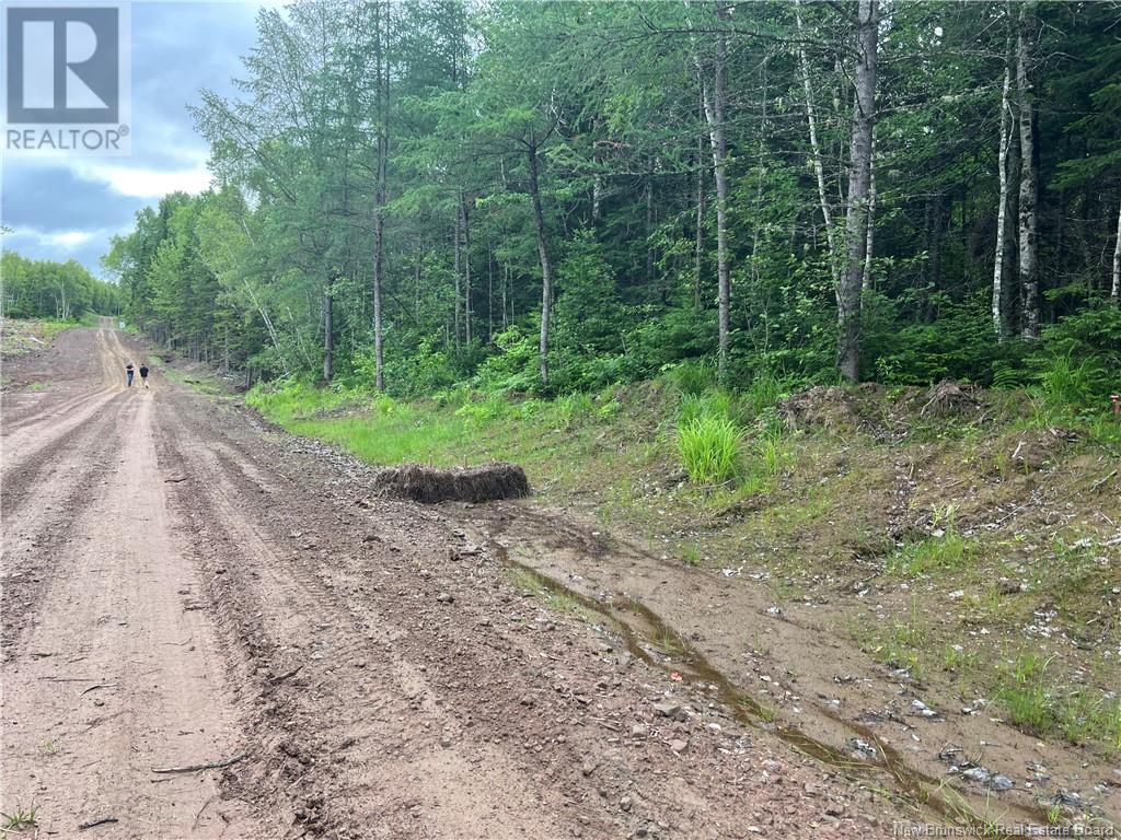 Lot 3 Murray Road, Smiths Corner, New Brunswick  E4T 1K8 - Photo 4 - NB121900