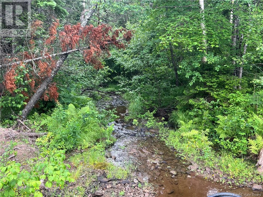 Lot 3 Murray Road, Smiths Corner, New Brunswick  E4T 1K8 - Photo 5 - NB121900