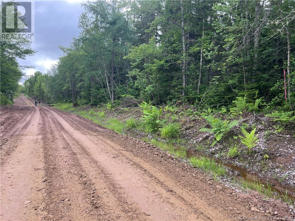 Lot 2 Murray Road, Smiths Corner, New Brunswick  E4T 1K8 - Photo 3 - NB121899