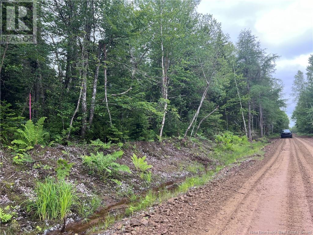 Lot 1 Murray Road, Smiths Corner, New Brunswick  E4T 1K8 - Photo 5 - NB121894