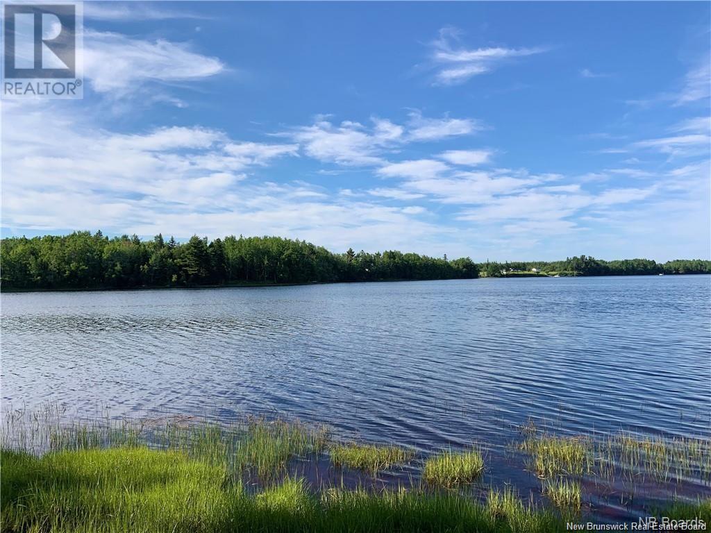 1 Acre Hatty's Hideaway (Off Rte 117), Black River Bridge, New Brunswick  E1N 5K5 - Photo 2 - NB122054
