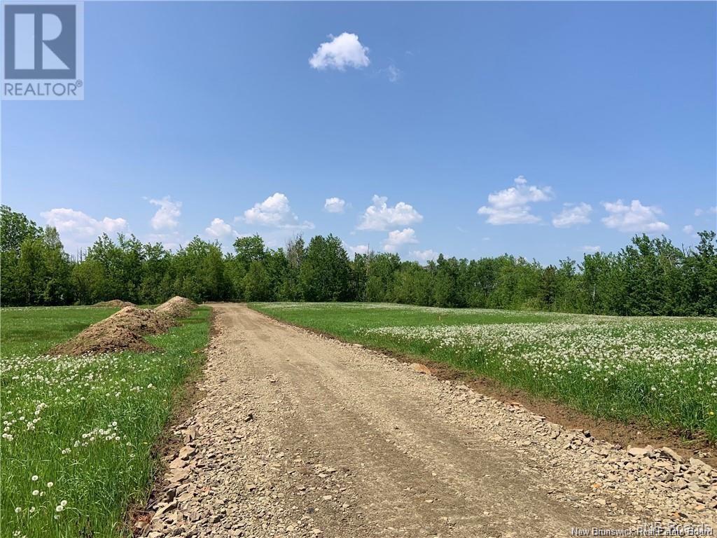 1 Acre Hatty's Hideaway (Off Rte 117), Black River Bridge, New Brunswick  E1N 5K5 - Photo 5 - NB122054