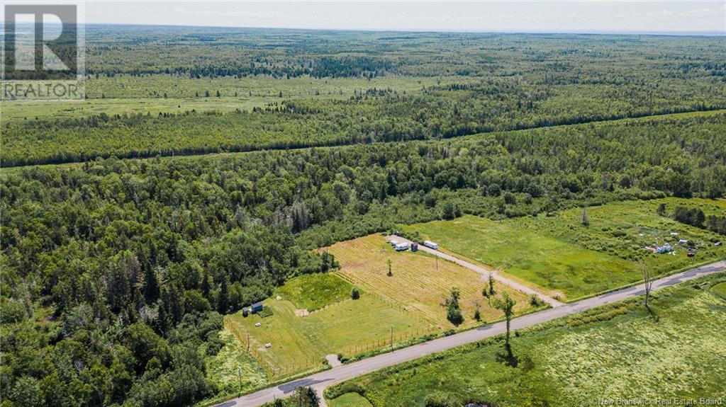 Lot Murray Road, Murray Corner, New Brunswick  E4M 3M4 - Photo 7 - NB121833