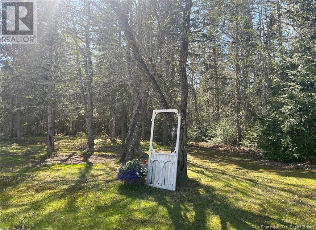4223 Route 910, Shenstone, New Brunswick  E4H 4G8 - Photo 38 - NB122076