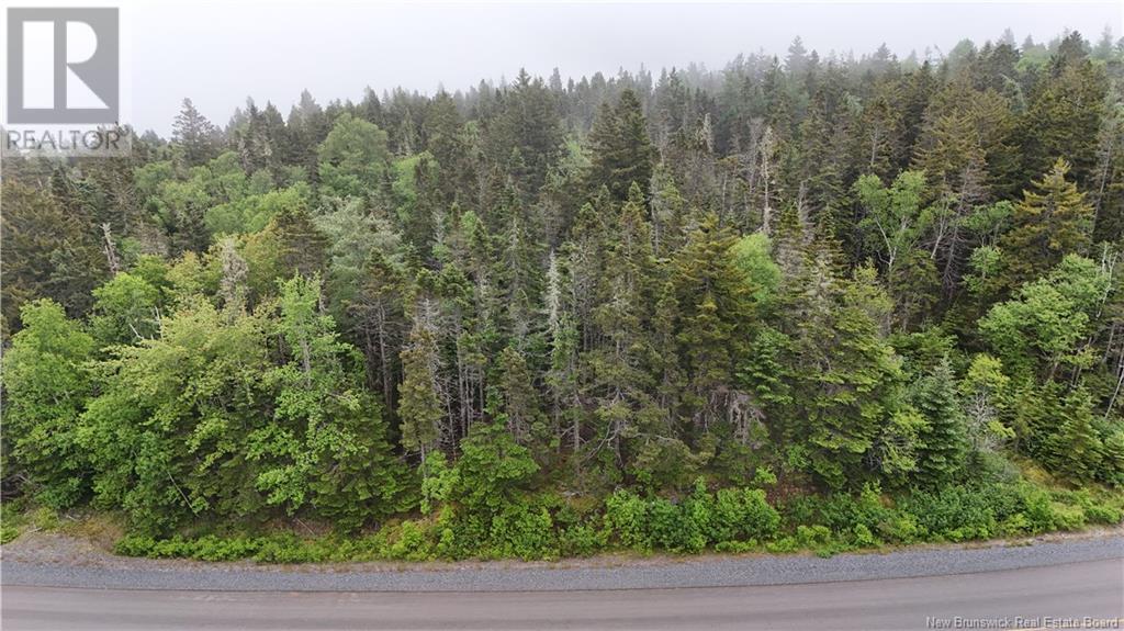 Route 790, Dipper Harbour, New Brunswick  E5J 1X9 - Photo 2 - NB122053