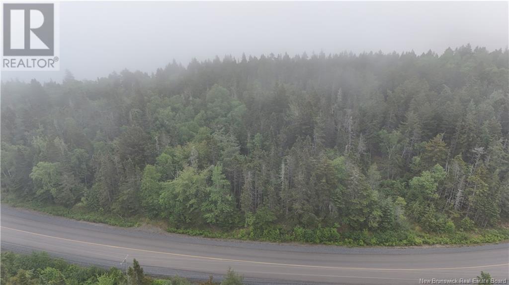 Route 790, Dipper Harbour, New Brunswick  E5J 1X9 - Photo 3 - NB122053