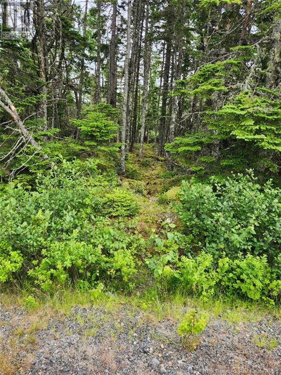 Route 790, Dipper Harbour, New Brunswick  E5J 1X9 - Photo 6 - NB122053