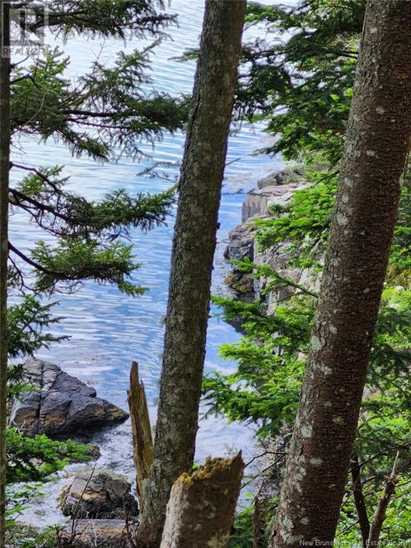 Route 790, Dipper Harbour, New Brunswick  E5J 1X9 - Photo 7 - NB122053