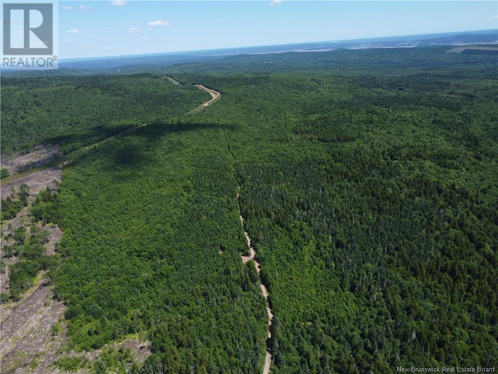 Lot Memel, Hopewell Hill, New Brunswick  E4H 3L4 - Photo 10 - NB121981