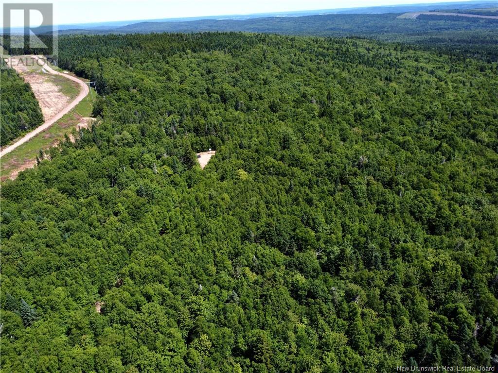 Lot Memel, Hopewell Hill, New Brunswick  E4H 3L4 - Photo 12 - NB121981