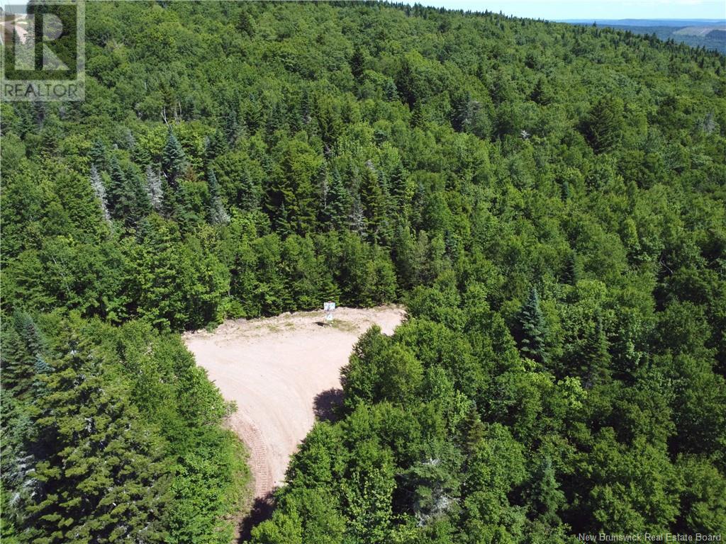 Lot Memel, Hopewell Hill, New Brunswick  E4H 3L4 - Photo 13 - NB121981