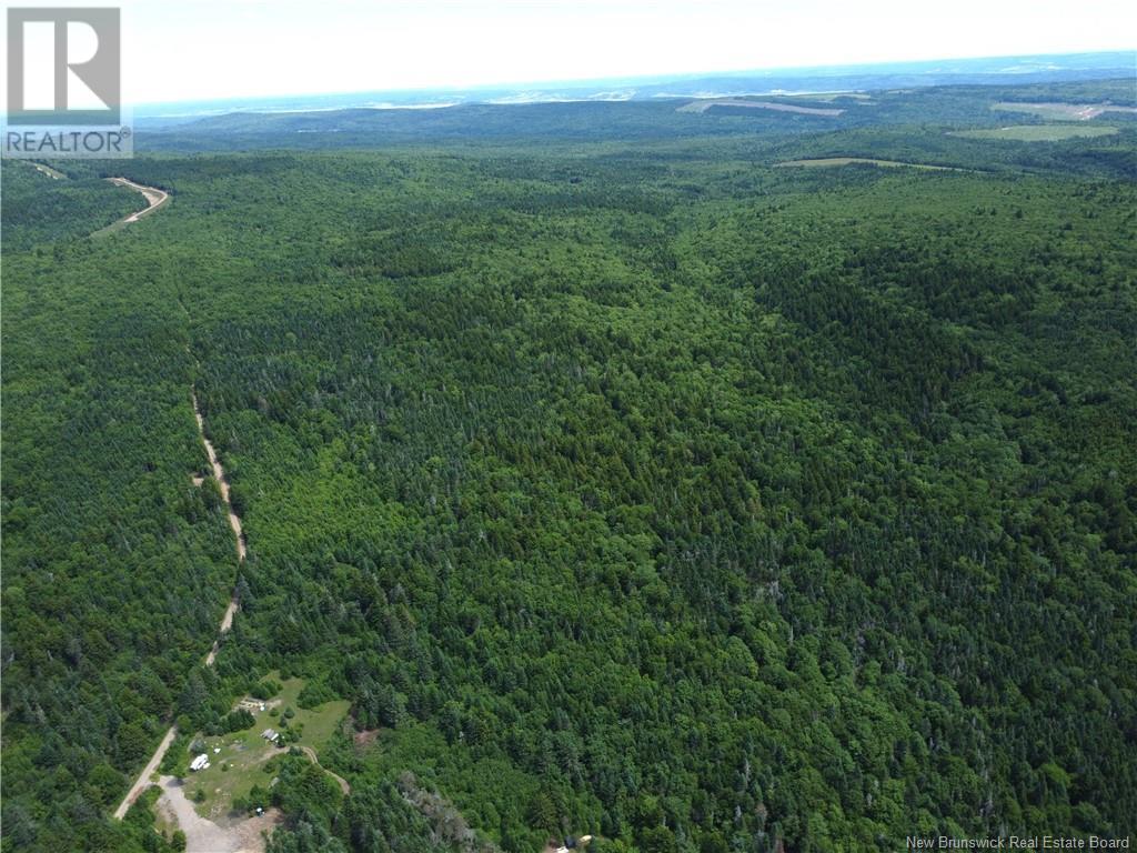 Lot Memel, Hopewell Hill, New Brunswick  E4H 3L4 - Photo 14 - NB121981
