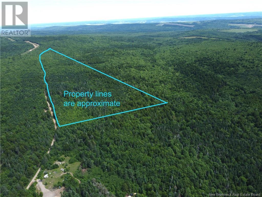 Lot Memel, Hopewell Hill, New Brunswick  E4H 3L4 - Photo 15 - NB121981